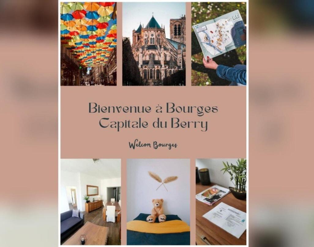Lumineux & Convivial Lejlighed Bourges Eksteriør billede